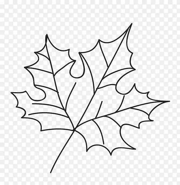 ��Ҷ����ƽ�Ƽ�����.��ʱ����-������