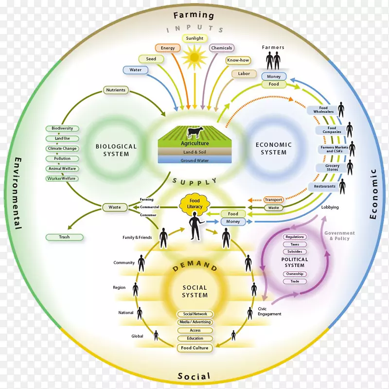 ��ʳϵͳӪ���л�ʳƷũҵ��������-������