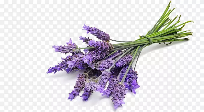 Ӣ��޹�²ݾ���޹�²���-������