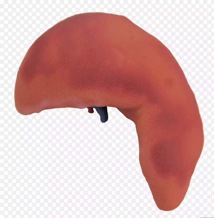 �������-��άģ��סլ-������