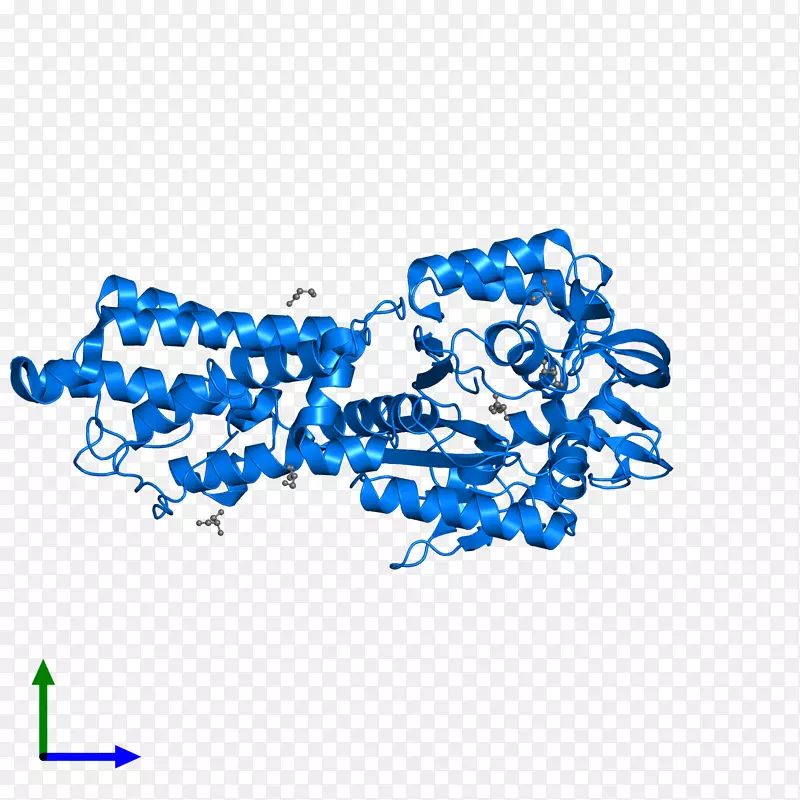 ��Ʒ��ͼ�ε�����-tRNA-������