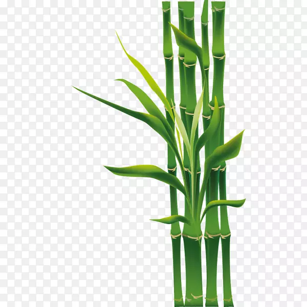 �ȴ�ľ����ݰ಼ֲ��ڻ�ֲ��-������