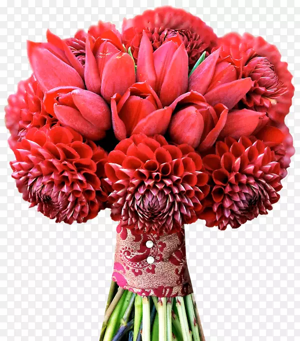 �ʻ��������պؿ��������-����-������