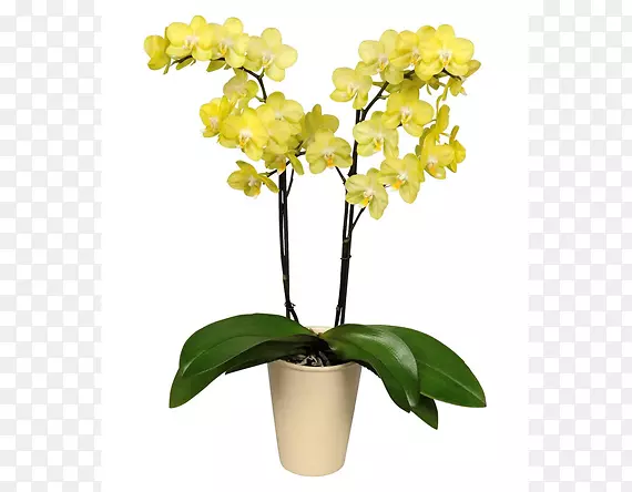 �ɶ����л�����ֲ��ɶ�����-������