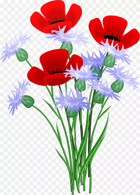 �����������Ų��ֺ�ɫ��Ʒ-��-������