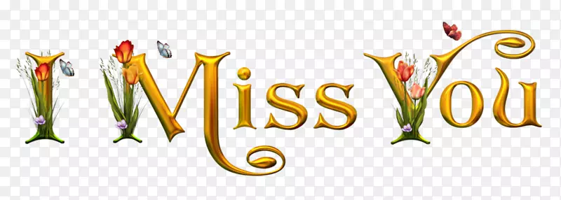 ��������ݼ�����-�ղؼ�����-������