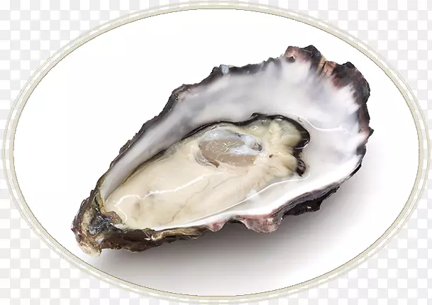 ĵ�ù�����-ĵ������-������