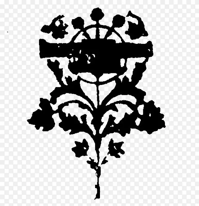 ͼ�μ�Ӱ����ֲ��Ҷ-������