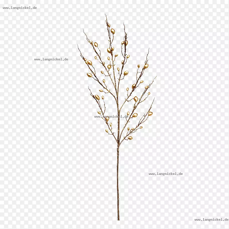 ��Ҷֲ�ﾥ��-�������-������