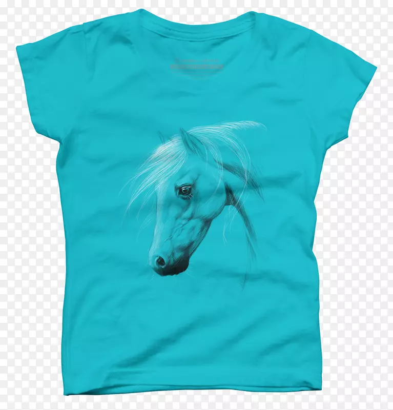 ����t����װʱ��t��-������