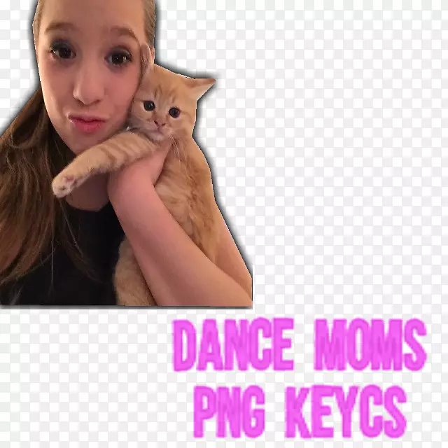 Сè���Ʒ��ָ��Ƭ-Сè-������