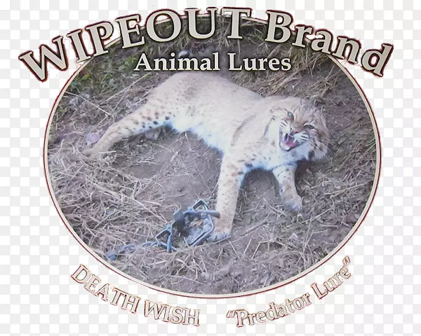 ����è�ƶ���Ұ������ͼƬ-��Ϻ����-������