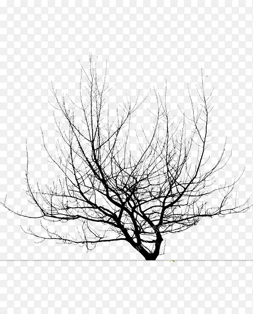 pngͼƬ��֦�����ֽ��֧ͼ������֧-������