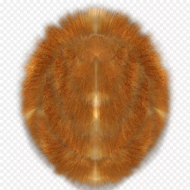 ��ë����-������