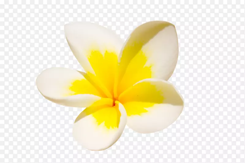 ����ֲ��.�ȴ�����-������