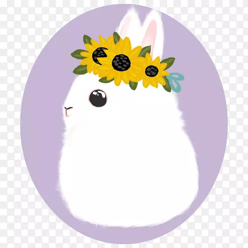 ���տ��ǹ���-������