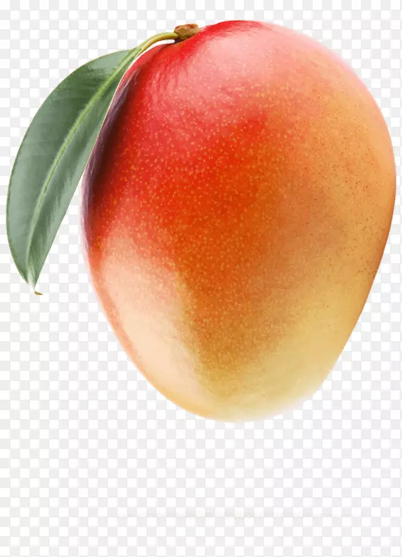 â��֭ͼ������ʳƷ-â��-������