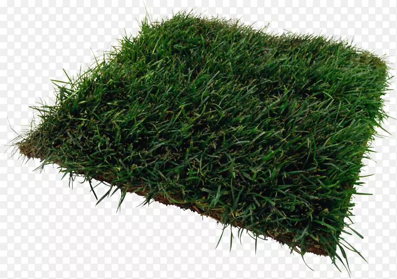 ���صض�pngͼƬ���������ؼ���ֵ˰�ؼ���԰��-������