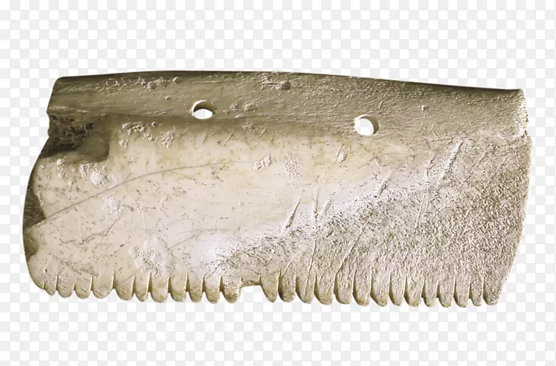 ������-����-������