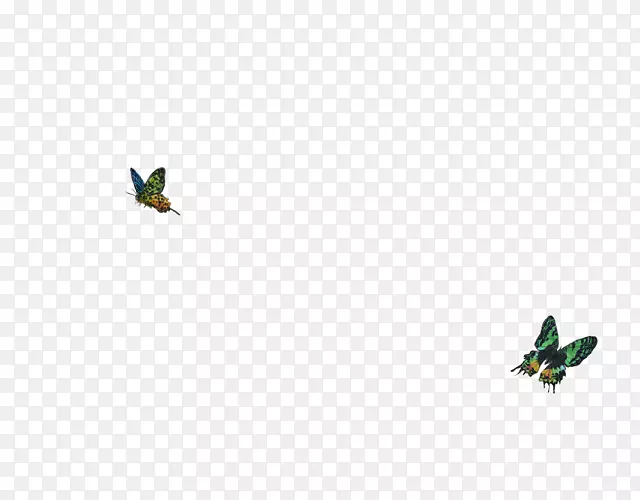 ����ͼ�����-����ʨ-������