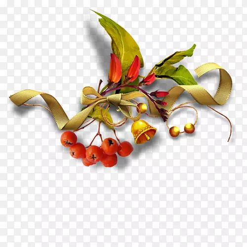 pngͼƬͼ�����Ĳ����＾��������װ��-������