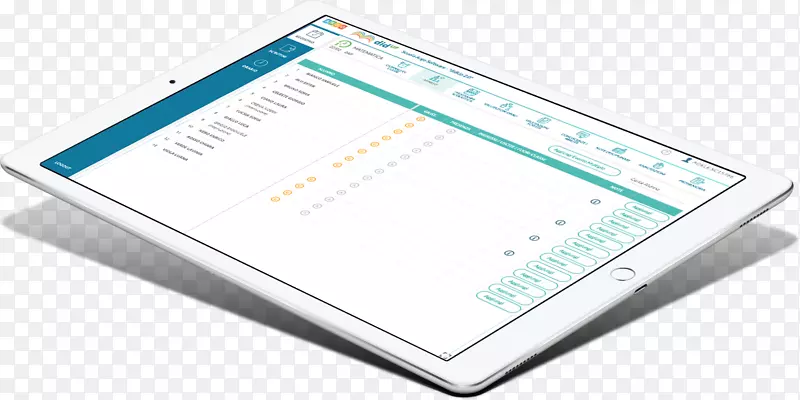 ��������ӵ���Ʒ��-iPad��ɫ-������