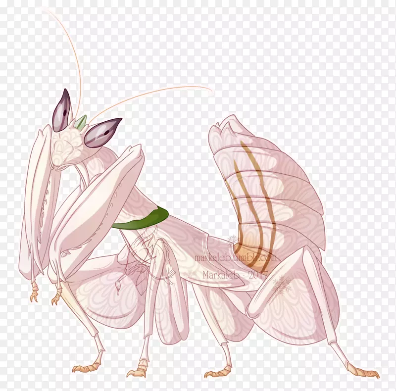 ������Ů��������ͼ-����-������