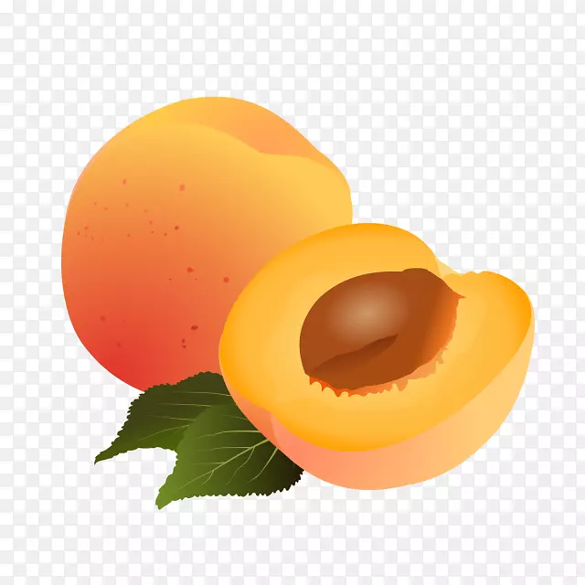 �ӻ�ˮ��������-ˮ������-������