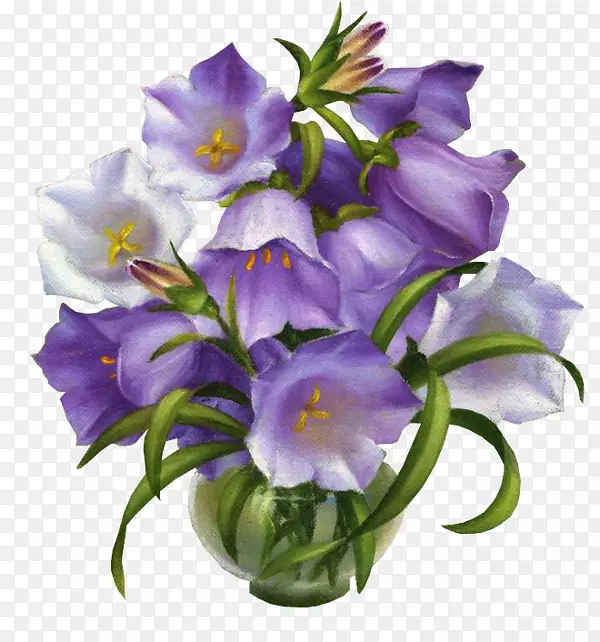 pngͼƬadobe Photoshop������������.����-������