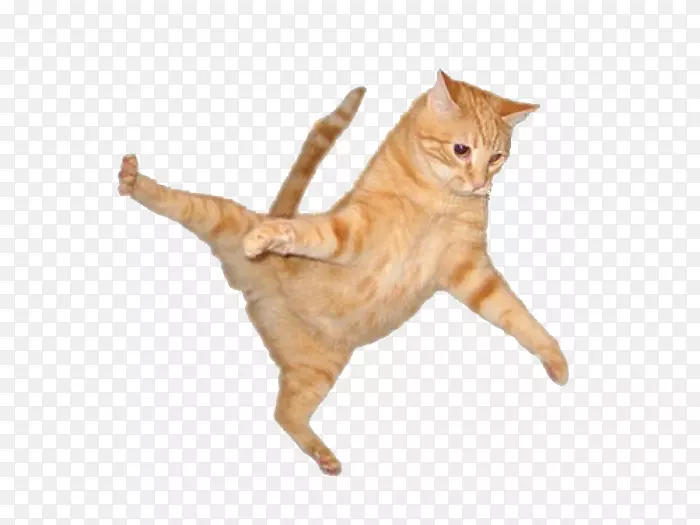 ����è��������è����è-������