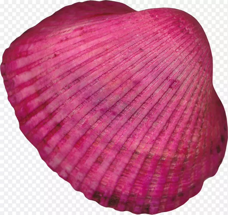 �ɸ����ͼ�����-��ɯ-������