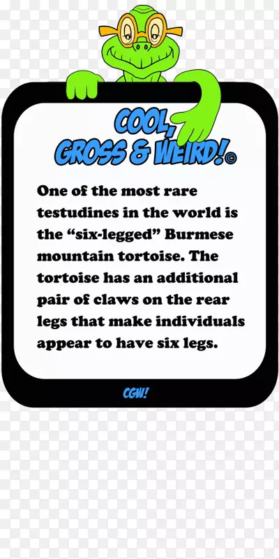 �������������Ʒ-����-������