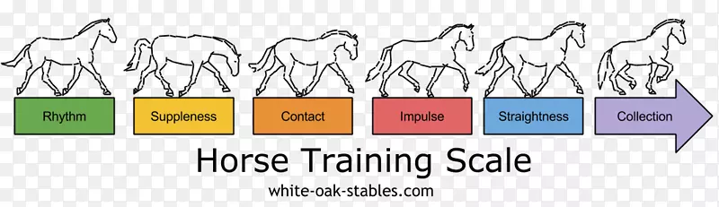 ����ѵ������ʢװ����-������