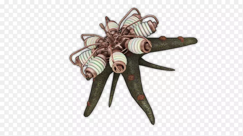 ���������鱦Ĥ-ҽ������-������