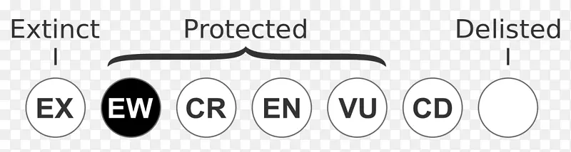 Ʒ�Ʋ�Ʒ��Ʊ�־���-������