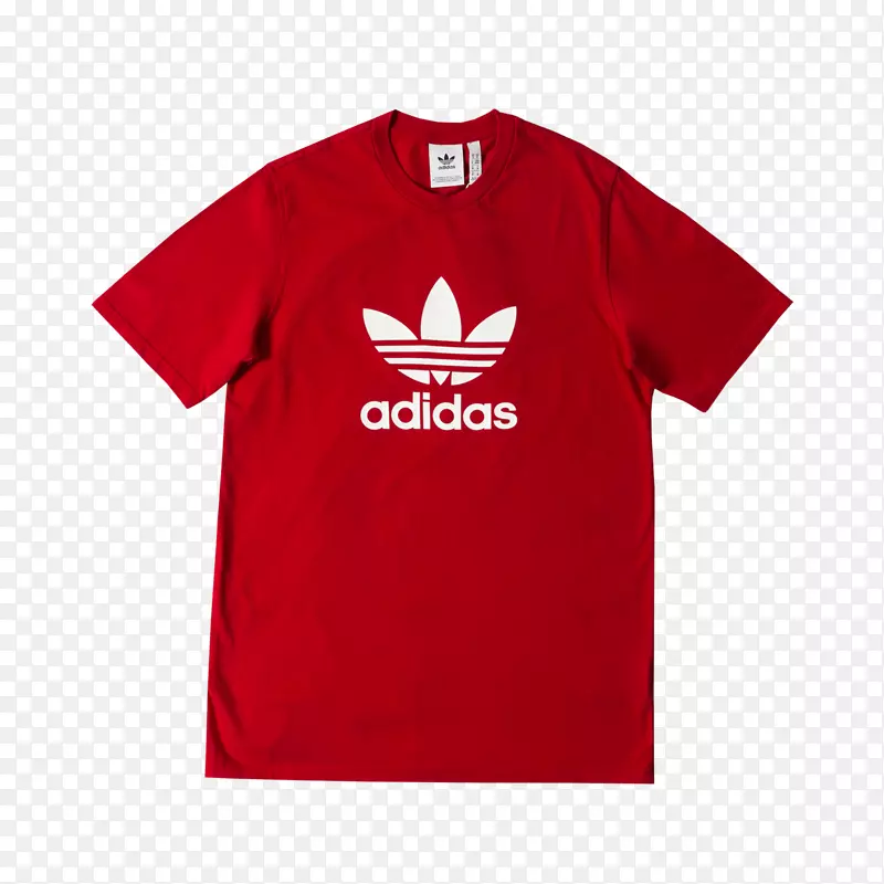 t��ñ������t��-������