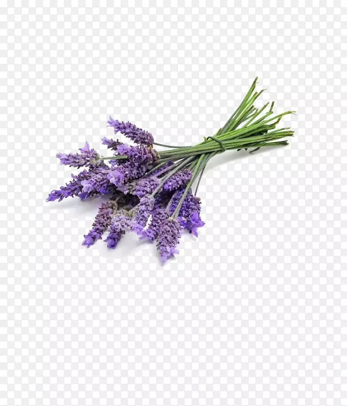 ޹�²���Ӣ��޹�²���ˮ������ζ-������