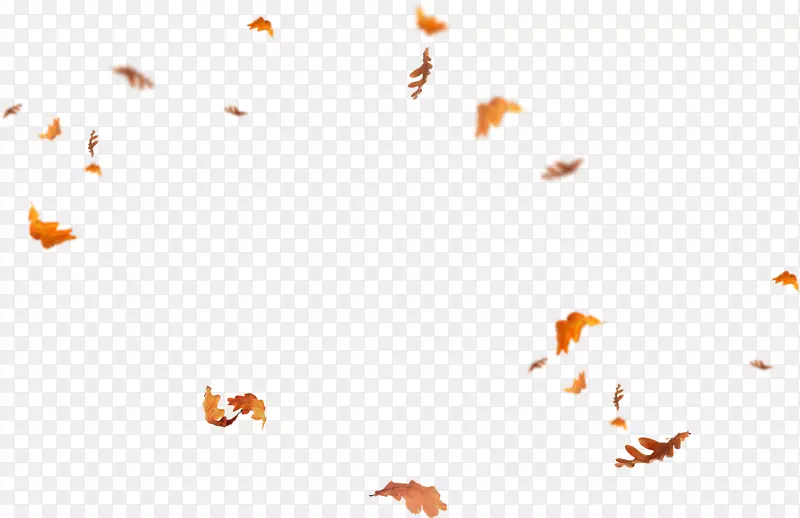 ҳpngͼƬ�����ֽadobe Photoshop����-Ҷ-������