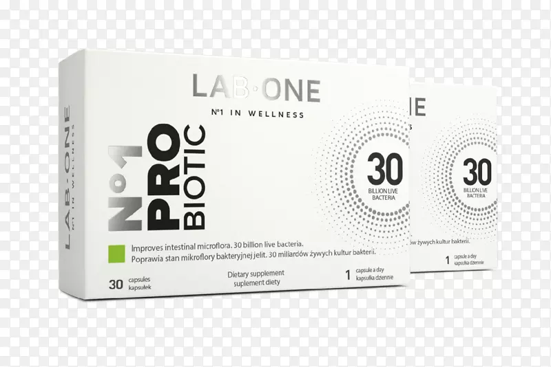 ��ʳ���������������������-������