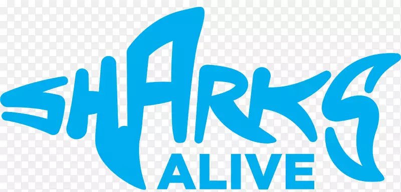 �̱�����Ʒ�ƽ�������-���-������