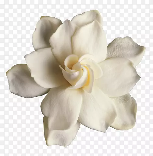 ���ӻ�-������