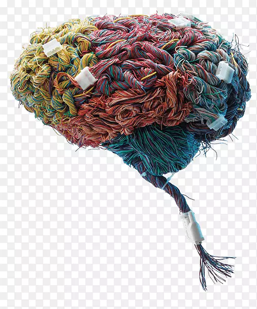 ��ѧ�񾭿�ѧ���Ӿ�����¼���Լ���-������