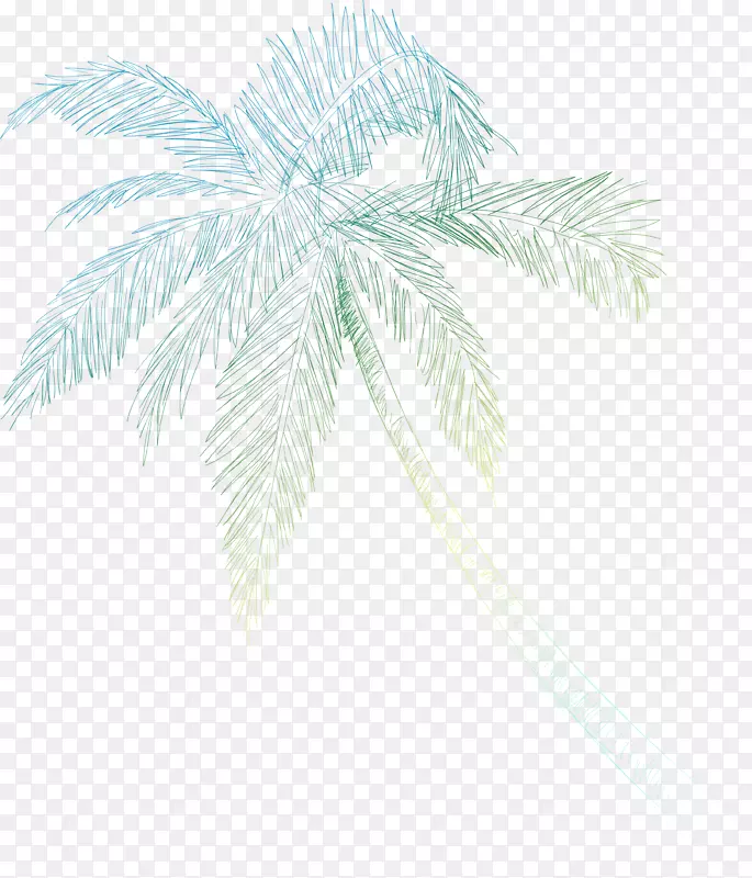 ��������棬����ߣ�Ҷ��֦-Ҭ�ӿ�-������