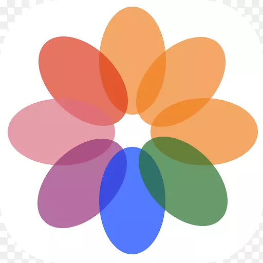 ���Ա�ֽ���Գƻ���Բͼ-������