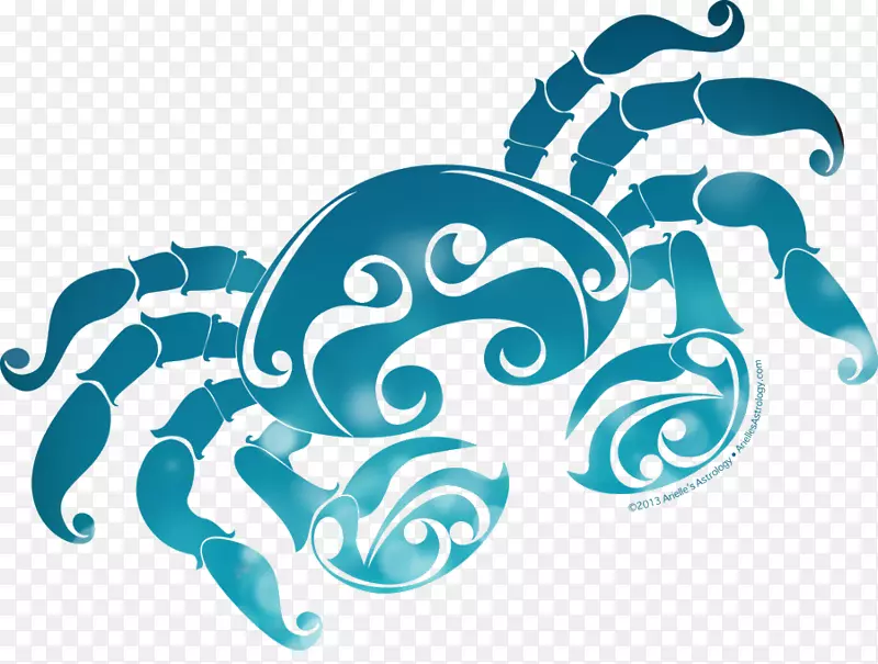 ��֢ռ��ѧ����ռ�����������-������