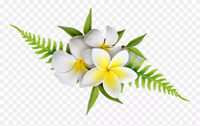 ���꿪��ֲ���л�ֲ��-���嵺-������