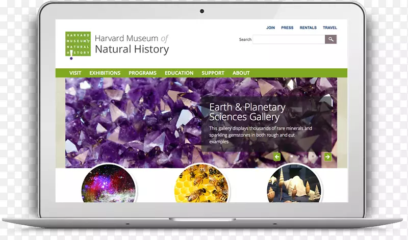 ��ý���Ʒ-������ѧԺ����-������