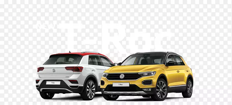���ڼ�����������t-Roc�������ܴ���-������
