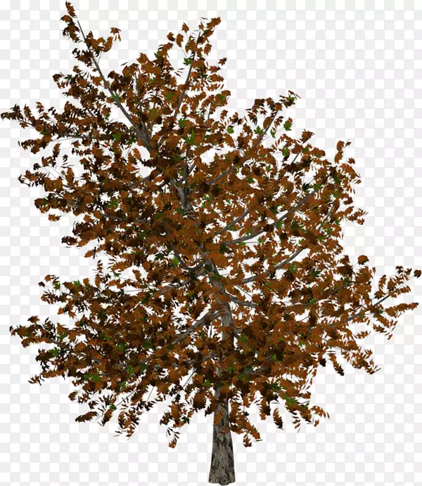 С֦pngͼƬ���＾��������-������