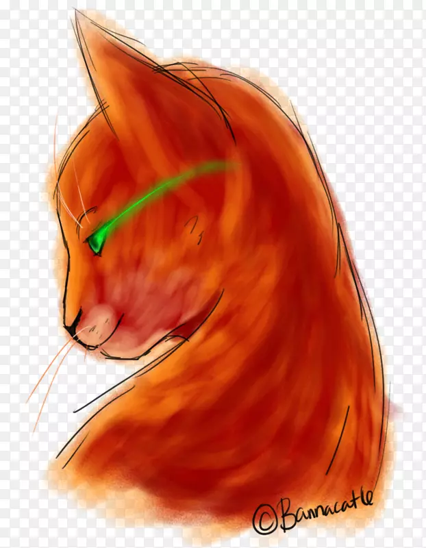 ��è���ëè����è-������